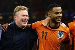 应对世界杯高温天气!荷媒:荷兰队组建庞大医疗保障团队