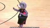 NBA那些令人破防的求婚时刻，一个有爱又有温度的联盟